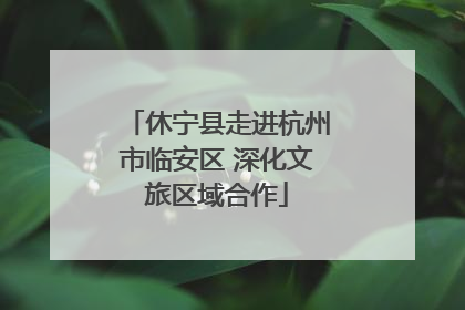 休宁县走进杭州市临安区 深化文旅区域合作