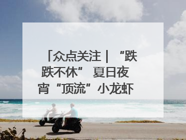 众点关注｜“跌跌不休” 夏日夜宵“顶流”小龙虾价格腰斩 东营人的快乐来了
