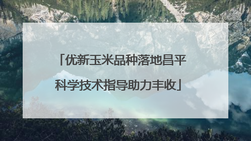 优新玉米品种落地昌平 科学技术指导助力丰收