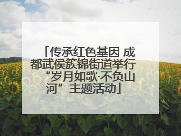 传承红色基因 成都武侯簇锦街道举行“岁月如歌·不负山河”主题活动