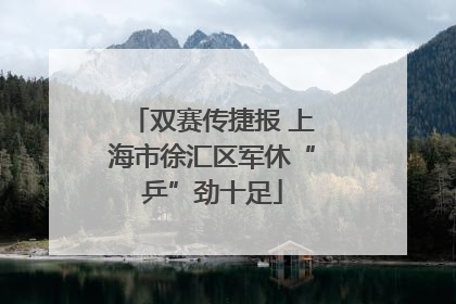 双赛传捷报 上海市徐汇区军休“乒”劲十足