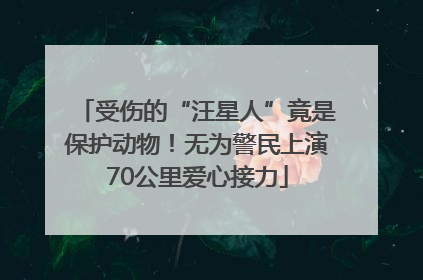 受伤的“汪星人”竟是保护动物！无为警民上演70公里爱心接力