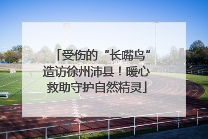受伤的“长嘴鸟”造访徐州沛县！暖心救助守护自然精灵
