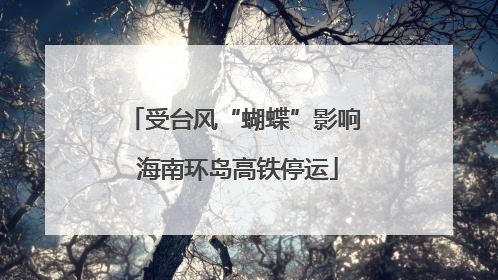 受台风“蝴蝶”影响 海南环岛高铁停运