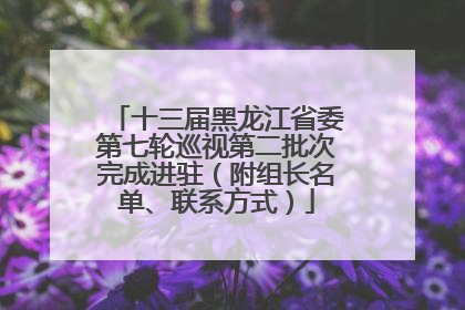 十三届黑龙江省委第七轮巡视第二批次完成进驻（附组长名单、联系方式）