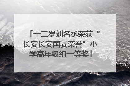 十二岁刘名丞荣获“长安长安国赛荣誉”小学高年级组一等奖