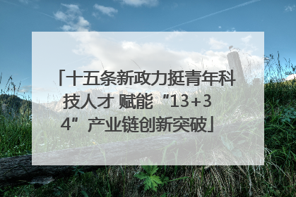 十五条新政力挺青年科技人才 赋能“13+34”产业链创新突破