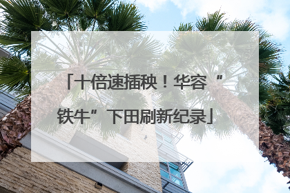 十倍速插秧！华容“铁牛”下田刷新纪录