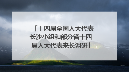 十四届全国人大代表长沙小组和部分省十四届人大代表来长调研