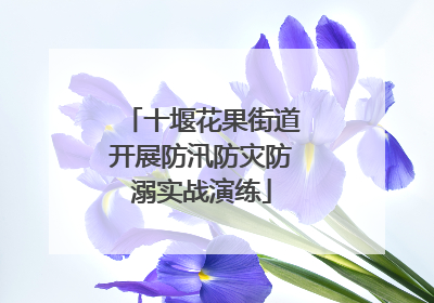 十堰花果街道开展防汛防灾防溺实战演练