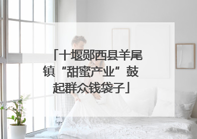 十堰郧西县羊尾镇“甜蜜产业”鼓起群众钱袋子