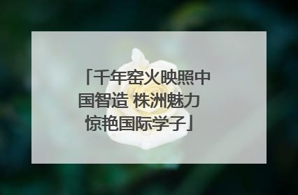 千年窑火映照中国智造 株洲魅力惊艳国际学子