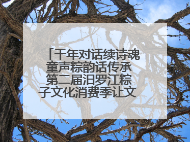 千年对话续诗魂 童声粽韵话传承 第二届汨罗江粽子文化消费季让文化“活”在当下