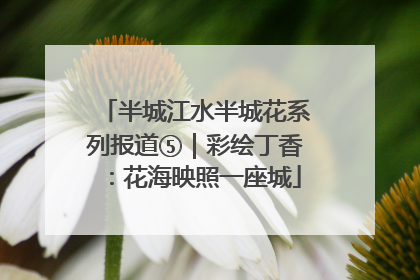 半城江水半城花系列报道⑤｜彩绘丁香：花海映照一座城