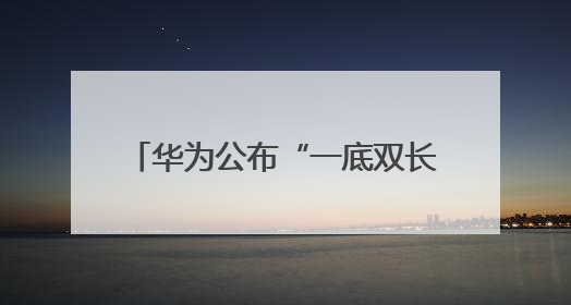 华为公布“一底双长焦”专利，将首发于Pura 80系列