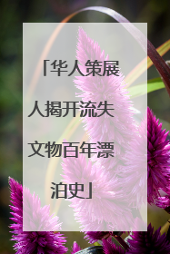 华人策展人揭开流失文物百年漂泊史