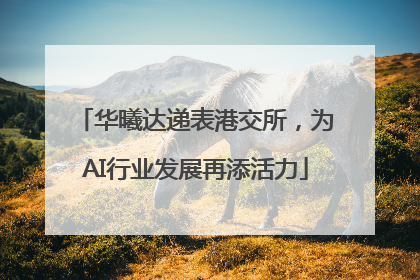 华曦达递表港交所，为AI行业发展再添活力