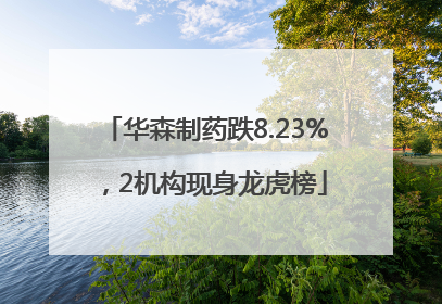 华森制药跌8.23%，2机构现身龙虎榜