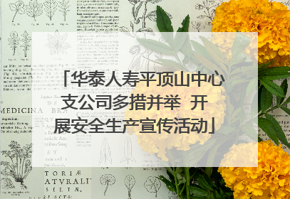 华泰人寿平顶山中心支公司多措并举  开展安全生产宣传活动