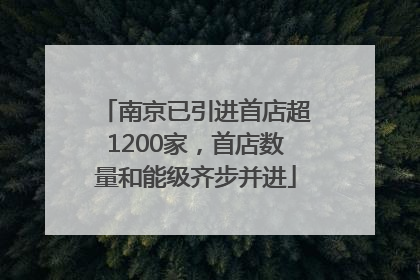 南京已引进首店超1200家，首店数量和能级齐步并进