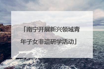 南宁开展新兴领域青年子女非遗研学活动
