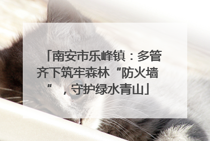 南安市乐峰镇：多管齐下筑牢森林“防火墙”，守护绿水青山