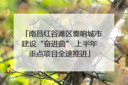 南昌红谷滩区奏响城市建设“奋进曲” 上半年重点项目全速推进