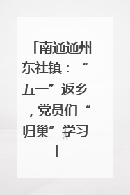 南通通州东社镇：“五一”返乡，党员们“归巢”学习