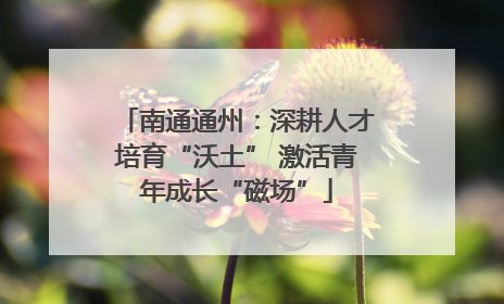 南通通州：深耕人才培育“沃土” 激活青年成长“磁场”