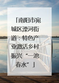 南阳市宛城区溧河街道：特色产业激活乡村振兴“一池春水”