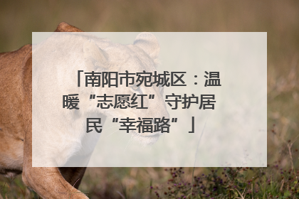 南阳市宛城区：温暖“志愿红”守护居民“幸福路”