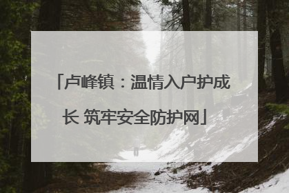 卢峰镇：温情入户护成长 筑牢安全防护网