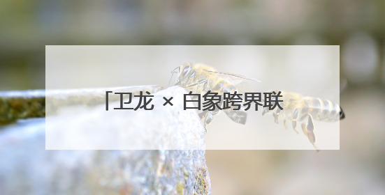 卫龙 × 白象跨界联名：辣味基因的跨维度共振与行业范式重构