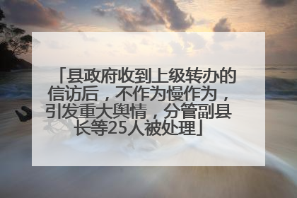 县政府收到上级转办的信访后，不作为慢作为，引发重大舆情，分管副县长等25人被处理