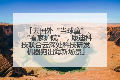 去国外“当球童”、“看家护院”，康迪科技联合云深处科技研发机器狗出海新场景
