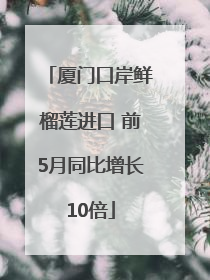 厦门口岸鲜榴莲进口 前5月同比增长10倍
