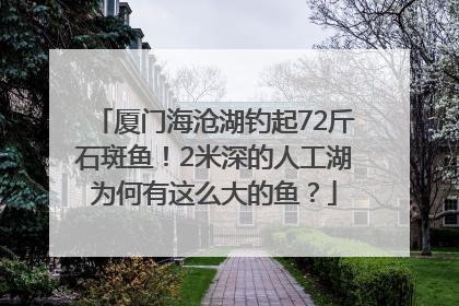 厦门海沧湖钓起72斤石斑鱼！2米深的人工湖为何有这么大的鱼？