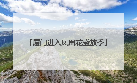 厦门进入凤凰花盛放季