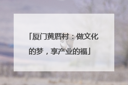 厦门黄厝村：做文化的梦，享产业的福