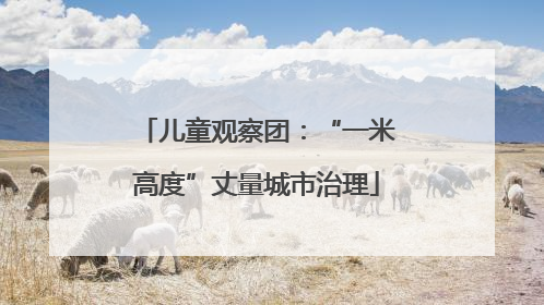 儿童观察团：“一米高度”丈量城市治理