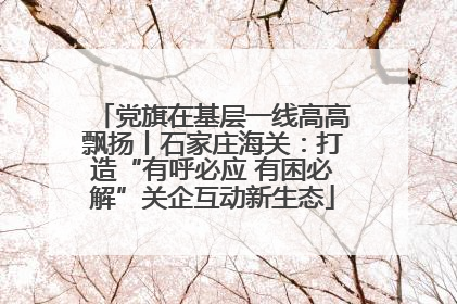 党旗在基层一线高高飘扬丨石家庄海关：打造“有呼必应 有困必解”关企互动新生态