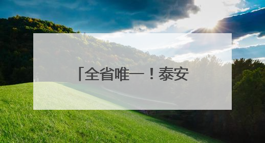 全省唯一！泰安非遗九品贡酵素煎饼亮相第九届中国成都国际非物质文化遗产节