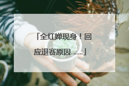 全红婵现身！回应退赛原因……