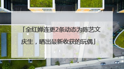 全红婵连更2条动态为陈艺文庆生，晒出最新收获的玩偶