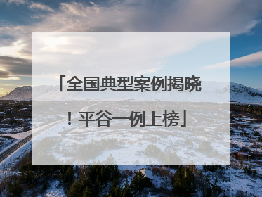 全国典型案例揭晓！平谷一例上榜