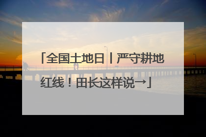 全国土地日丨严守耕地红线！田长这样说→