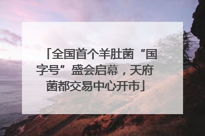 全国首个羊肚菌“国字号”盛会启幕，天府菌都交易中心开市