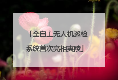 全自主无人机巡检系统首次亮相夷陵