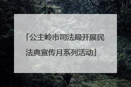 公主岭市司法局开展民法典宣传月系列活动