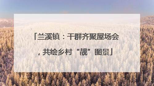 兰溪镇：干群齐聚屋场会，共绘乡村“靓”图景